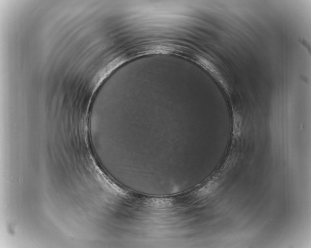 X0000101670802200807311456