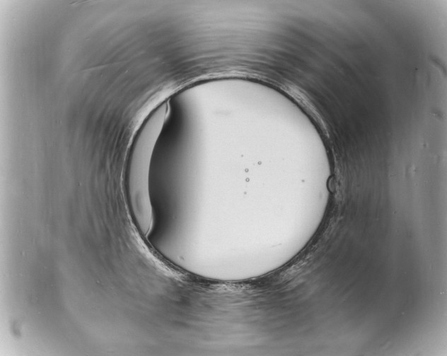 X0000101670805200807311456