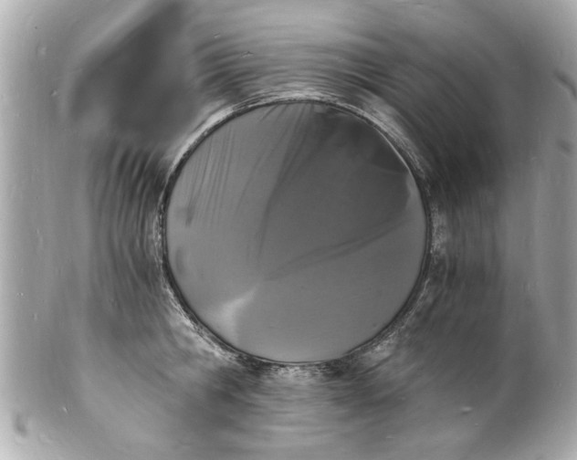 X0000101670806200807311456