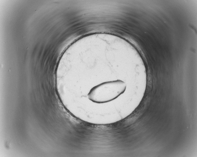 X0000101670807200807311456