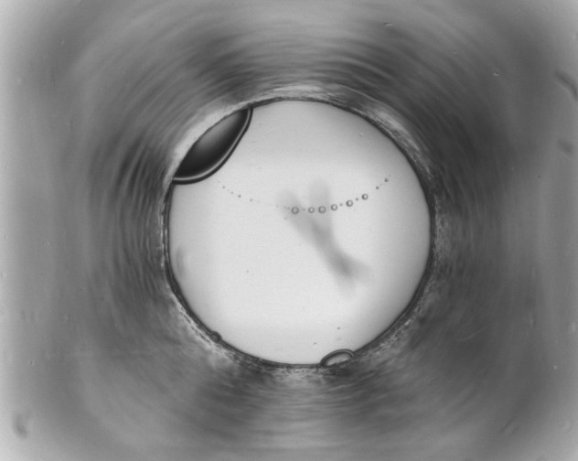 X0000101670808200807311456
