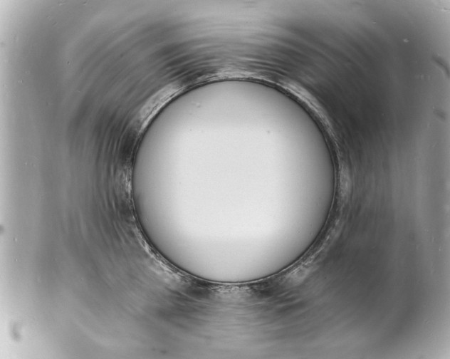 X0000101670809200807311456