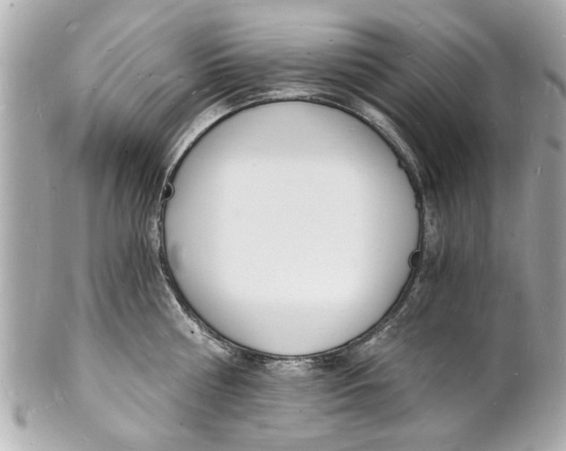 X0000101670810200807311456