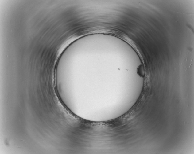 X0000101670811200807311456
