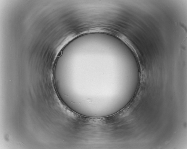 X0000101670813200807311456