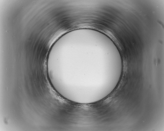 X0000101670814200807311456