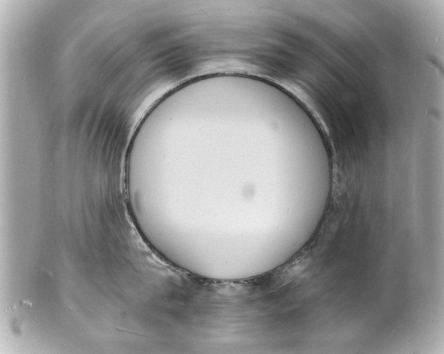 X0000101670815200807311456