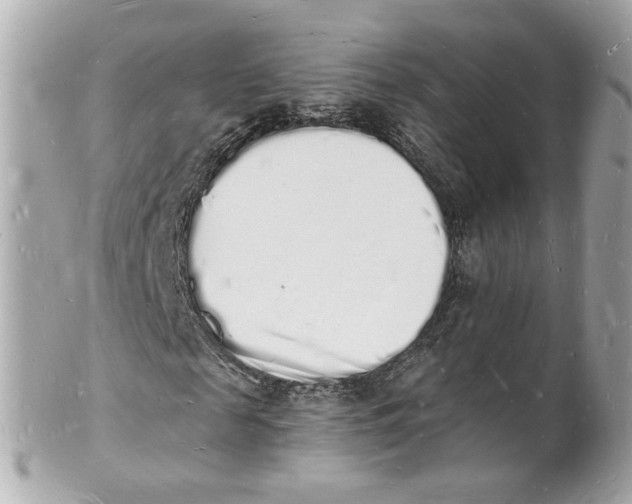 X0000101670817200807311455