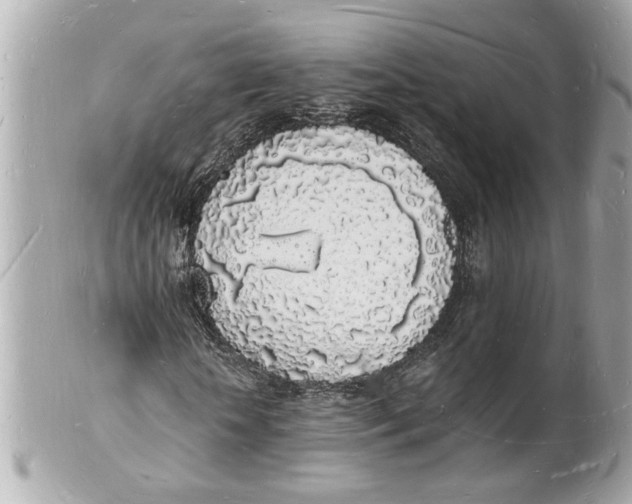 X0000101670818200807311455