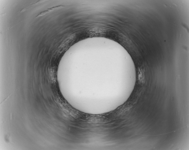 X0000101670819200807311455