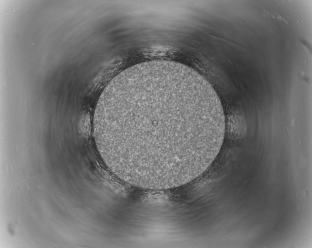 X0000101670820200807311455
