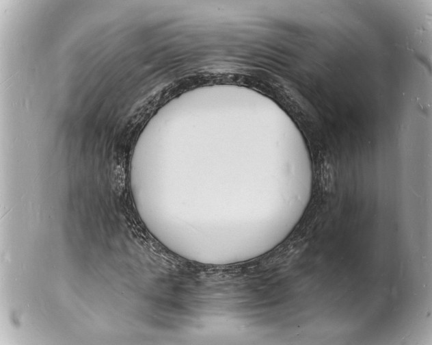 X0000101670821200807311455