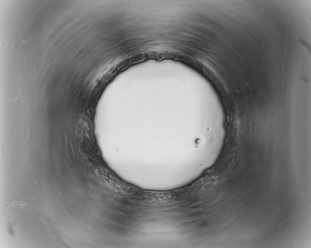 X0000101670823200807311455