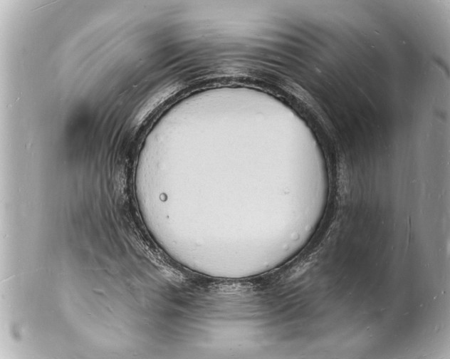 X0000101670826200807311455
