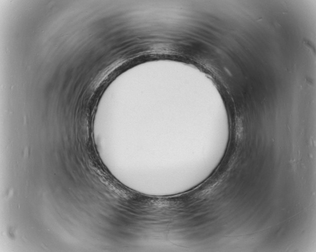 X0000101670829200807311455