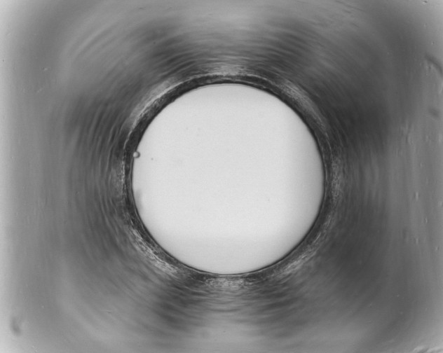 X0000101670831200807311455