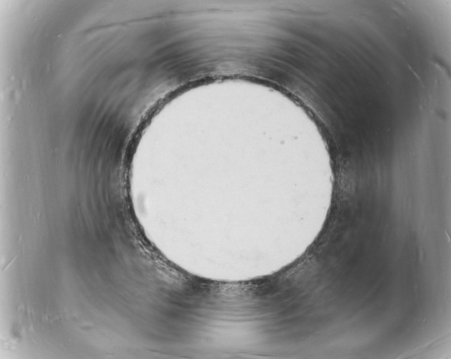 X0000101670832200807311455