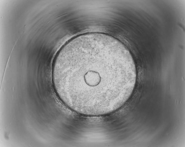 X0000101670836200807311455