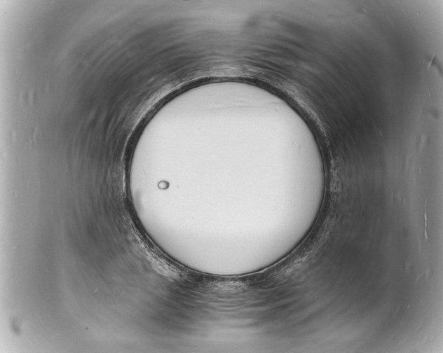 X0000101670837200807311455