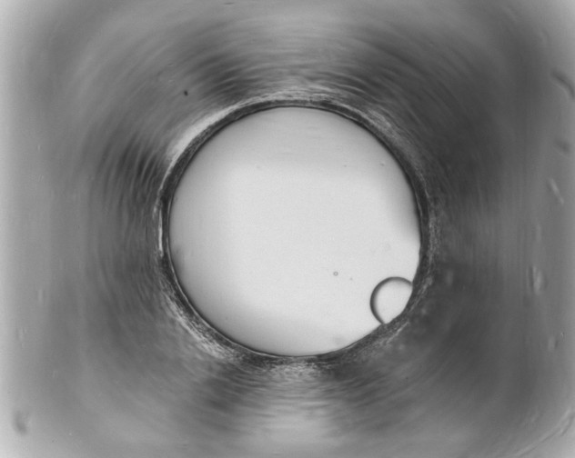 X0000101670838200807311455