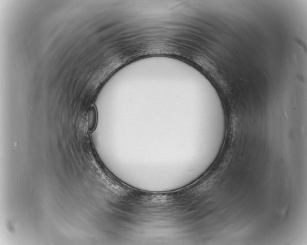 X0000101670841200807311455