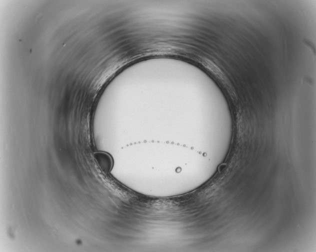 X0000101670842200807311455