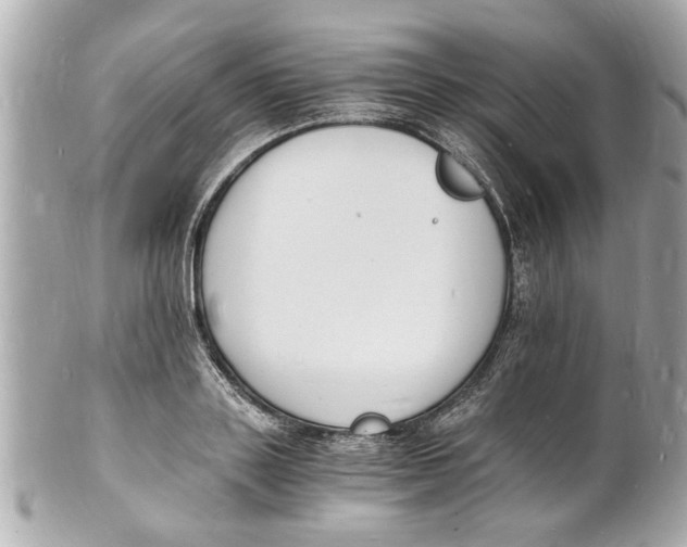 X0000101670843200807311456