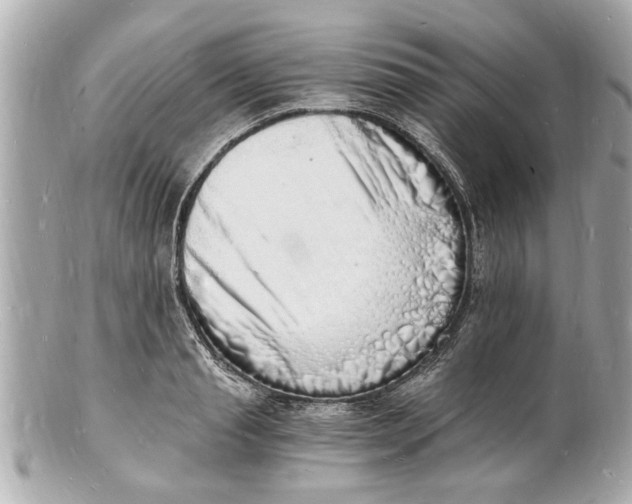 X0000101670845200807311456