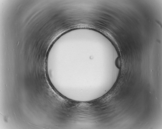 X0000101670847200807311456