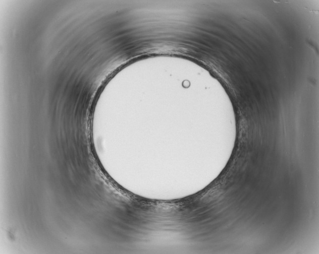 X0000101670848200807311456
