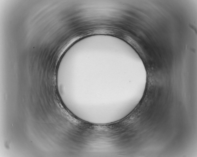 X0000101670852200807311456