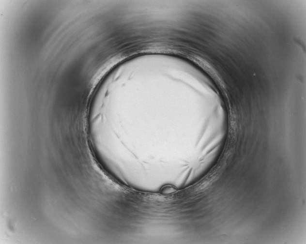 X0000101670855200807311456