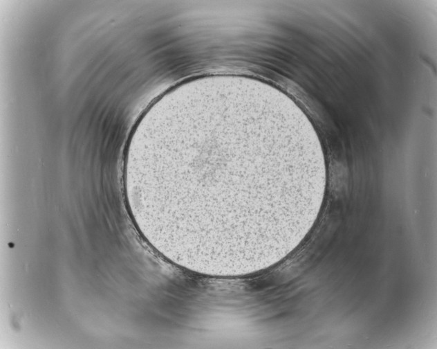 X0000101670856200807311456