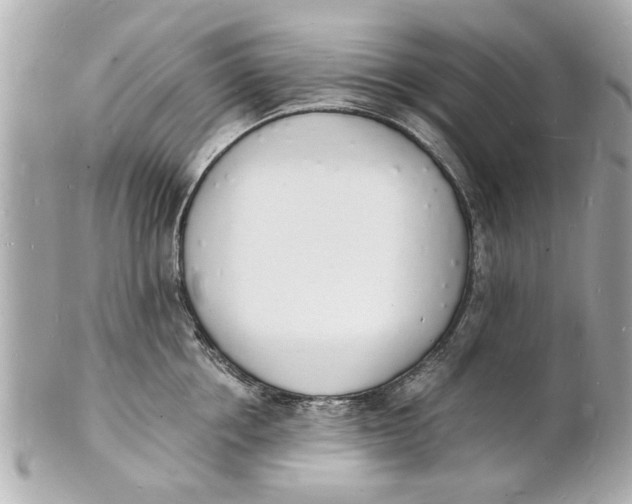 X0000101670858200807311456