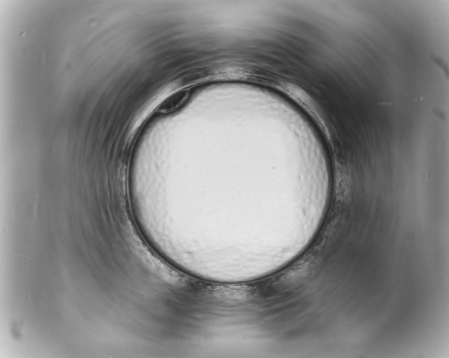X0000101670859200807311456