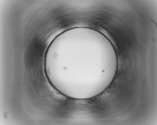 X0000101670861200807311456