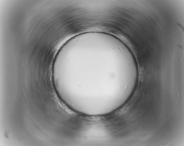X0000101670862200807311456