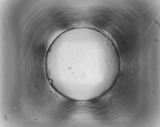 X0000101670863200807311456