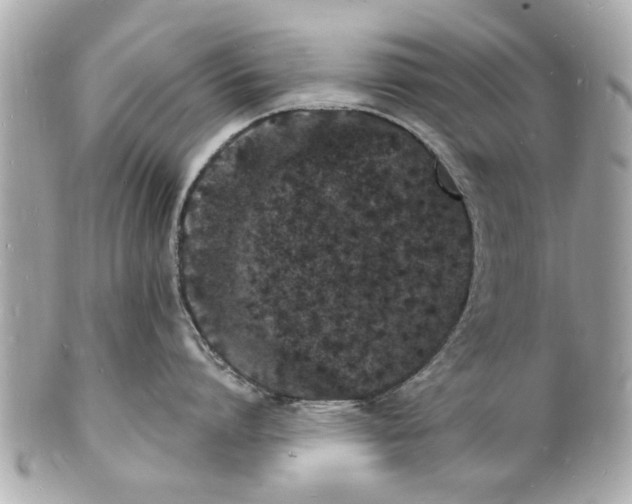 X0000101670864200807311456