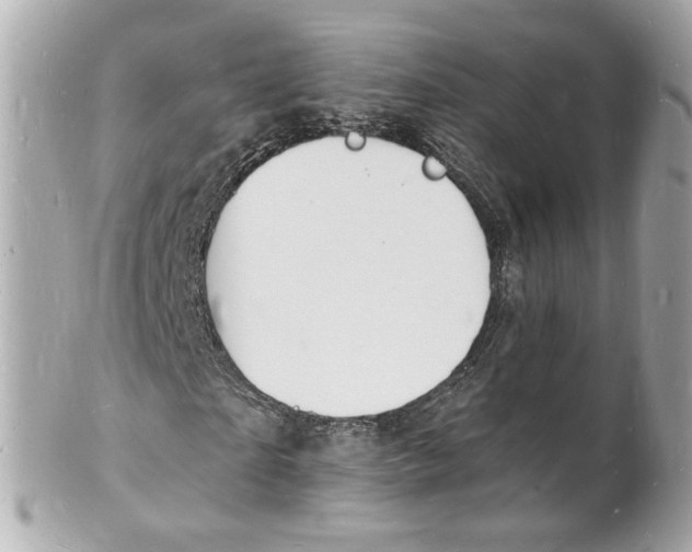 X0000101670865200807311455