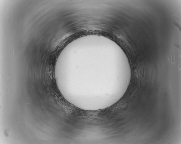X0000101670870200807311455