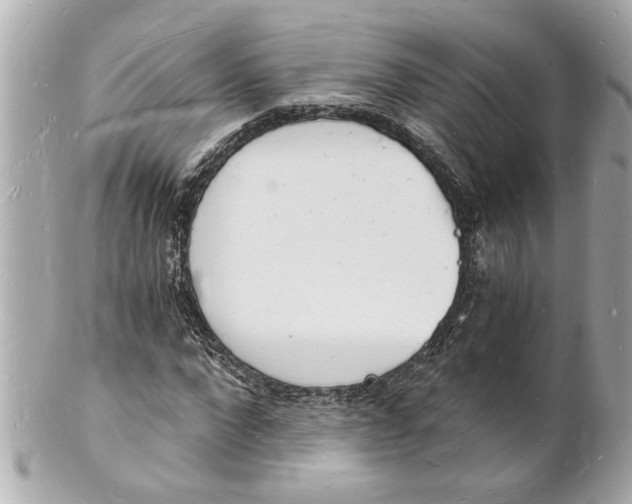 X0000101670872200807311455