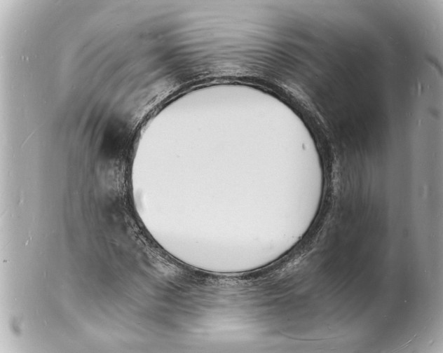 X0000101670873200807311455