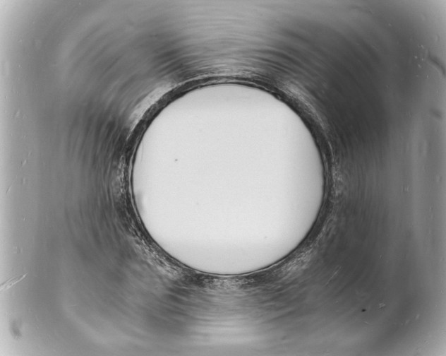 X0000101670875200807311455