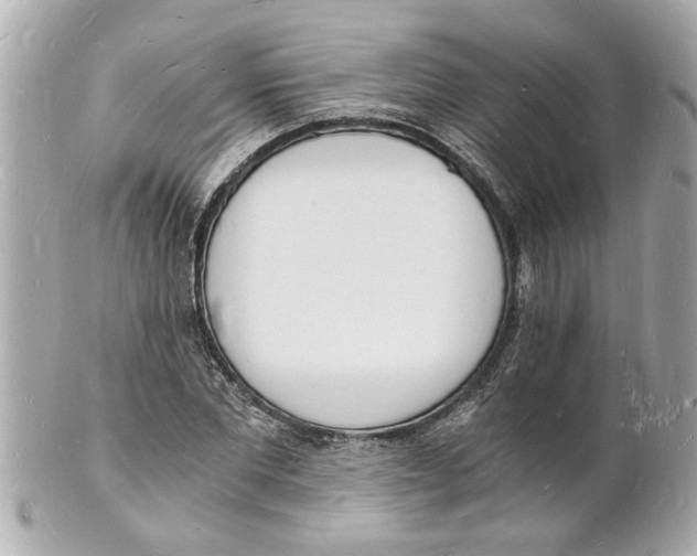 X0000101670877200807311455