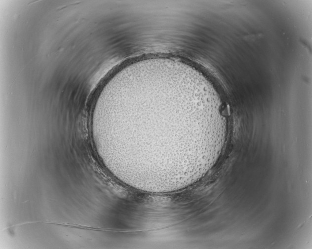 X0000101670878200807311455