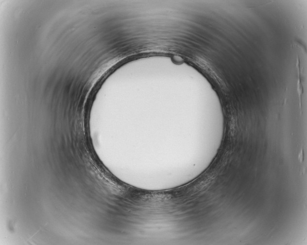 X0000101670884200807311455