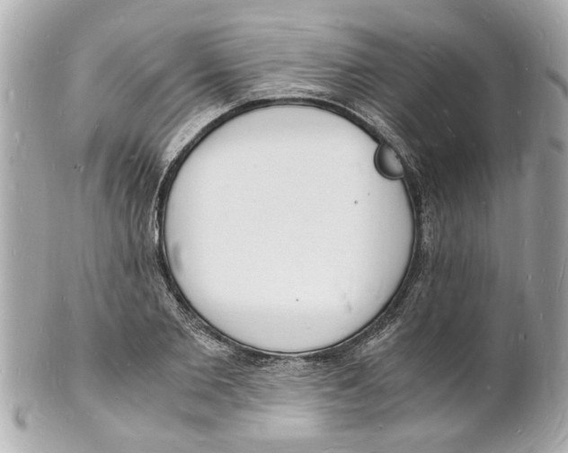 X0000101670885200807311455