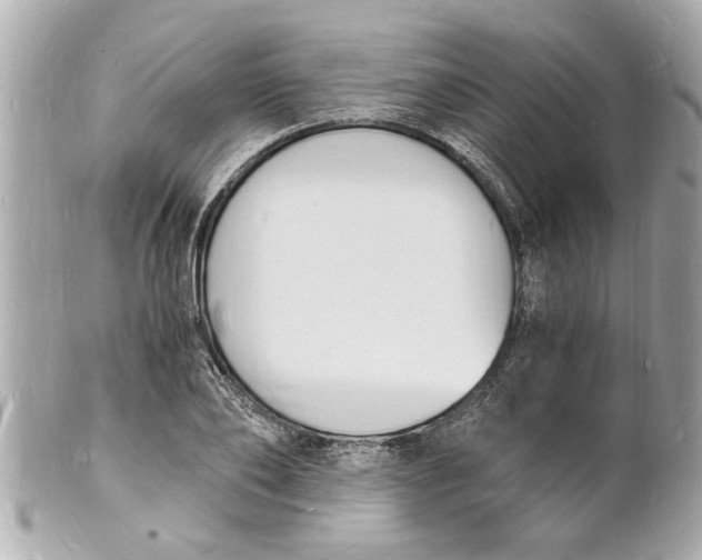 X0000101670886200807311455