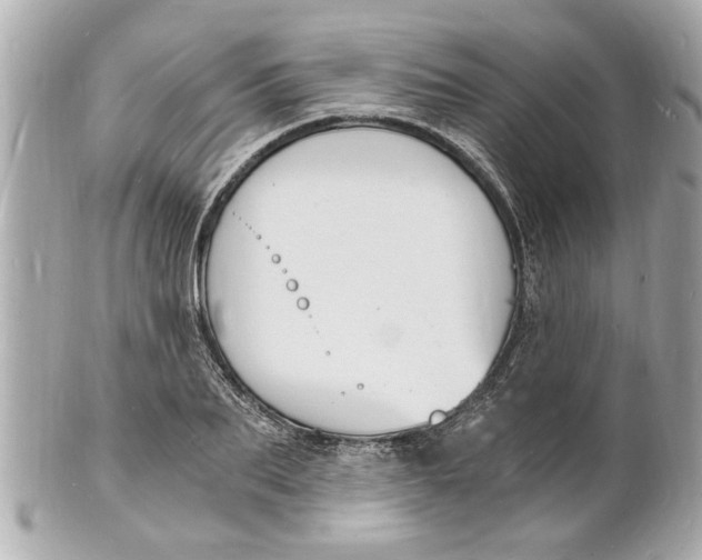 X0000101670887200807311455